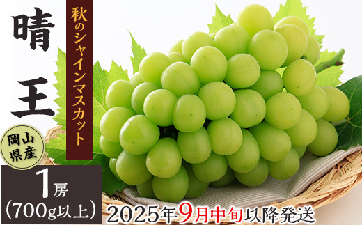 【3回目】岡山県産シャインマスカット晴王1房（700g以上）※2025年9月中旬～10月上旬【クール冷蔵】で発送予定