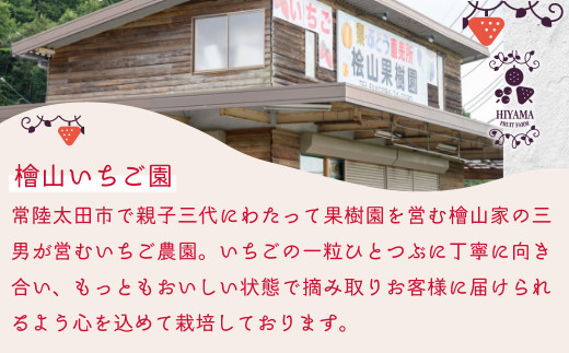 特大デラックスサイズ大粒いちご！茨城県産ブランド苺「いばらキッス」を朝採れの新鮮なままお届け！