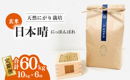 【定期便】 日本晴 玄米 10kg×6回 6ヶ月連続  天然にがり栽培 にっぽんばれ 希少 品種 お寿司 ピラフ チャーハン 1985510 - 徳島県海陽町