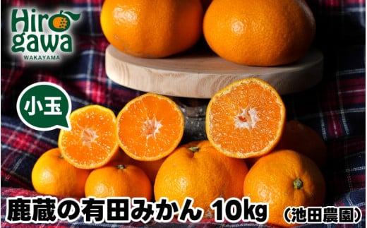 鹿蔵の 有田みかん 家庭用 わけあり 10kg+250g(痛み補償) 小さな (S以下) 先行予約 光センサー選果　※北海道・沖縄・離島への配送不可 / 温州みかん 痛み補償 果物 フルーツ くだもの 【ikd004-cs-10-nov】 1985834 - 和歌山県広川町