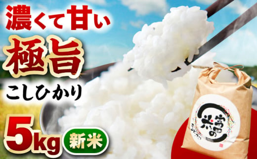 【10月発送】【R7年新米】恵那岩村とみだコシヒカリ精米5kg / こめ コメ 米 おコメ お米 おこめ 精米 せいまい コシヒカリ こしひかり 新米 しんまい 5kg / 恵那市 / 山丸屋商店 [AUDA001] 1984525 - 岐阜県恵那市