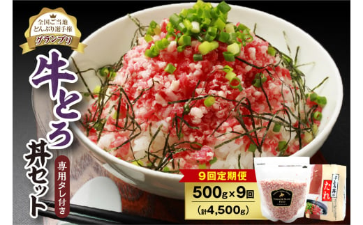 【9回定期便】人気の牛とろ丼セット 500g 専用タレ付き_S006-0173 1989086 - 北海道清水町