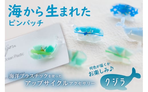 海から生まれたピンバッチ（クジラ） mi0012-0206 【海洋プラスチック 小物 雑貨 天然石風 アクセサリー カラフル オシャレ】