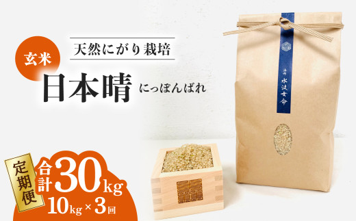 【定期便】 日本晴 玄米 10kg×3回 3ヶ月連続  天然にがり栽培 にっぽんばれ 希少 品種 お寿司 ピラフ チャーハン 1985508 - 徳島県海陽町