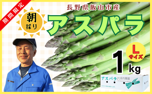 【先行予約】朝採り!露地栽培アスパラガス1kg（令和7年5月発送）【期間限定】(E-1.15)