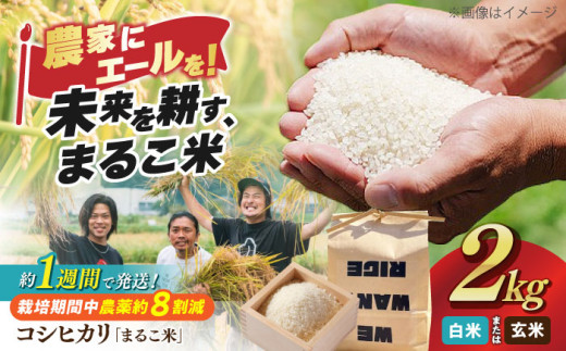 [令和6年産][白米] 滋賀県西浅井町産コシヒカリ「まるこ米」2kg 滋賀県長浜市/ONE SLASH 株式会社 [AQCZ001-2] 米 お米 白米 玄米 2kg