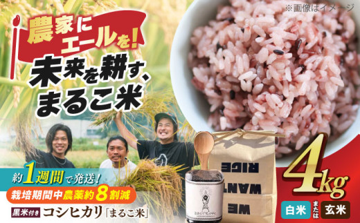 [令和6年産][玄米] 滋賀県西浅井町産コシヒカリ2kg ×2・黒米 あさむらさき 200g セット 滋賀県長浜市/ONE SLASH 株式会社 [AQCZ011-1] 米 お米 白米 玄米 黒米 コシヒカリ