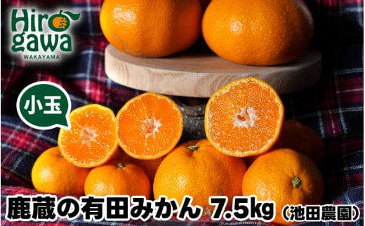 鹿蔵の 有田みかん 家庭用 わけあり 7.5kg+250g(痛み補償) 小さな (S以下) 先行予約 光センサー選果　※北海道・沖縄・離島への配送不可 / 温州みかん 痛み補償 果物 フルーツ くだもの 【ikd004-cs-7d5-nov】 1985833 - 和歌山県広川町