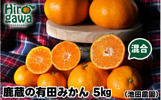 鹿蔵の 有田みかん 家庭用 わけあり 5kg+250g( 痛み補償 ) サイズ混合 (2S〜2L) 先行予約 光センサー選果　※北海道・沖縄・離島への配送不可 / 温州みかん 痛み補償 果物 フルーツ くだもの 【ikd004-cm-5-nov】 1986157 - 和歌山県広川町