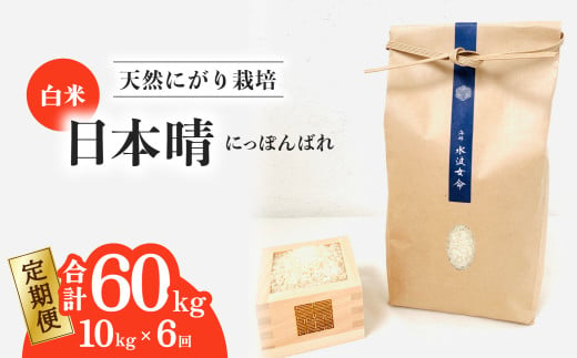 【定期便】 日本晴 白米 10kg×6回 6ヶ月連続  天然にがり栽培 にっぽんばれ 希少 品種 お寿司 ピラフ チャーハン 1985509 - 徳島県海陽町