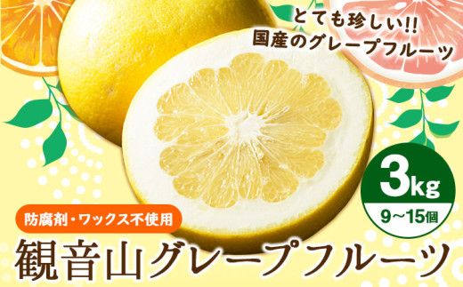 観音山グレープフルーツ 3kg 有限会社柑香園《2026年1月上旬-2月下旬頃出荷》和歌山県 紀の川市 フルーツ 果物 柑橘 グレープフルーツサンタマリア