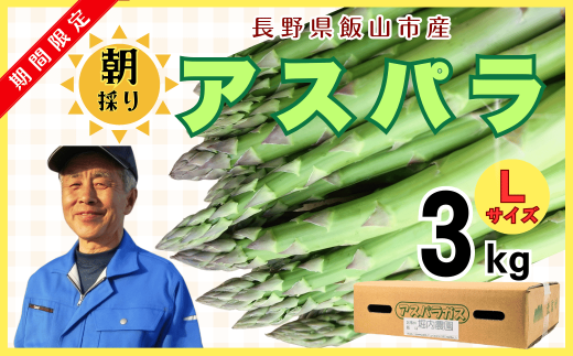 【先行予約】朝採り!露地栽培アスパラガス3kg（令和7年5月発送）【期間限定】(R-3)