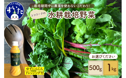 [選べる容量 約500g or 約1kg] ココワークの水耕栽培野菜 ゆず人参ドレッシング セット 栽培期間中 農薬不使用 [大阪府吹田市]