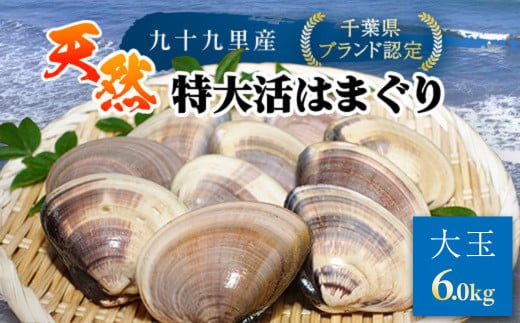 【千葉県ブランド認定】天然特大活はまぐり《6㎏》 ／ふるさと納税 はまぐり ハマグリ 蛤 貝類 魚介 海鮮 お吸い物 パスタ パエリア お歳暮 贈答 お祝い 千葉県 山武市 SMBO012