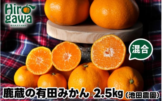 鹿蔵の 有田みかん 家庭用 わけあり 2.5kg+250g(痛み補償) サイズ混合 (2S〜2L) 先行予約 光センサー選果　※北海道・沖縄・離島への配送不可 / 温州みかん 痛み補償 果物 フルーツ くだもの 【ikd004-cm-2d5-nov】 1985816 - 和歌山県広川町