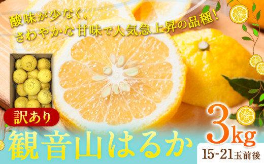 【先行予約】観音山はるか(訳あり) 3kg (約15玉-21玉前後) 有限会社柑香園【日付指定不可】《2026年2月上旬-2月末頃出荷》和歌山県 紀の川市 フルーツ 果物 柑橘 はるか