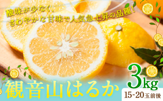 【先行予約】観音山はるか 3kg (約15玉-21玉前後) 有限会社柑香園《2026年2月上旬-2月末頃出荷》和歌山県 紀の川市 フルーツ 果物 柑橘 はるか