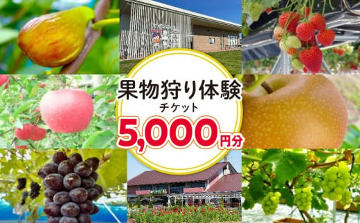 旬の果物摘み取り体験チケット　1回5,000円分　【チケット 券 人気 おすすめ 】