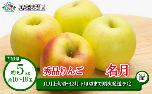 [No.5657-4219]名月 秀品 約5kg (約10～18玉) 《黒岩果樹園》■2025年発送■※11月上旬頃～12月下旬頃まで順次発送予定 1991973 - 長野県須坂市