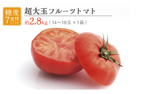 超大玉 フルーツトマト 大箱 約2.8kg × 1箱 【14～18玉/1箱】 糖度7度 以上 野菜 フルーツ トマト とまと [AF008ci]