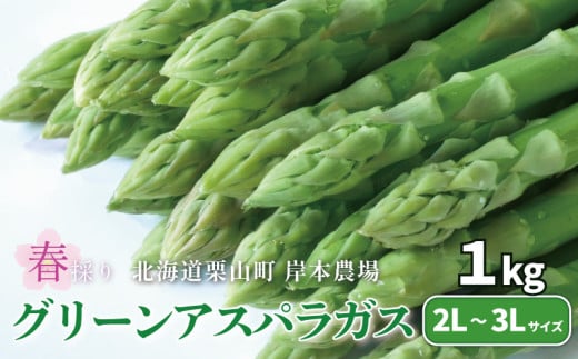 【極太】北海道産 春採り グリーン アスパラガス 1kg 3L~2L E036 2026130 - 北海道栗山町