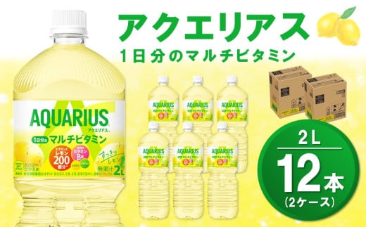 アクエリアス 1日分のマルチビタミン PET 2L (2ケース) 計12本【コカコーラ アクエリ スポーツ飲料 夏バテ予防 水分補給 ビタミン補給 ビタミンC ミネラル クエン酸 2リットル ペットボトル ペット スポーツ イベント】A1-C090036 1990792 - 佐賀県基山町