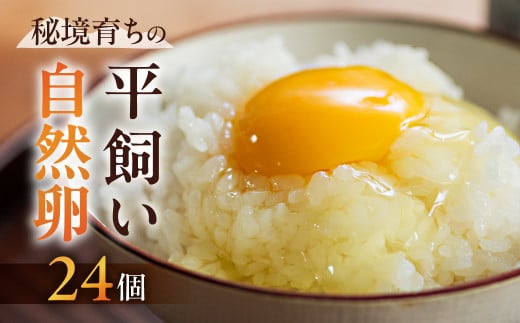 【数量限定】平飼い のびのびたまご 6個入り×4パック（計24個） 常温発送（夏季は冷蔵発送） 卵 たまご 自然卵養鶏法 下呂市 1993374 - 岐阜県下呂市