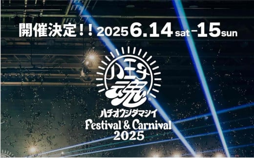 【6月14日開催/1dayチケット(1名様分)】八王子魂Festival＆Carnival2025 1017718 - 東京都八王子市