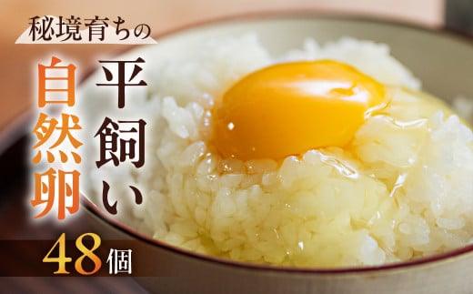 【数量限定】平飼い のびのびたまご 6個入り×8パック（計48個）常温発送（夏季は冷蔵発送） 卵 たまご 自然卵養鶏法 下呂市  1993375 - 岐阜県下呂市