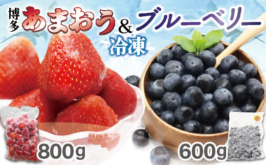 冷凍あまおう800g ＆ 冷凍ブルーベリー600gセット 計1.4kg【JAほたるの里】_HA1653 1995463 - 福岡県宗像市