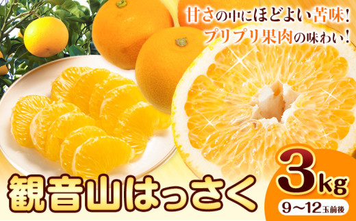 観音山はっさく 3kg (約9玉-12玉前後) 有限会社柑香園《2026年1月上旬-3月中旬頃出荷》和歌山県 紀の川市 フルーツ 果物 柑橘 はっさく 八朔