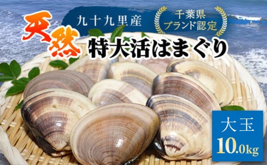 【千葉県ブランド認定】天然特大活はまぐり《10㎏》 ／ふるさと納税 はまぐり ハマグリ 蛤 貝類 魚介 海鮮 お吸い物 パスタ パエリア お歳暮 贈答 お祝い 千葉県 山武市 SMBO016