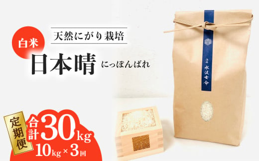 【定期便】 日本晴 白米 10kg×3回 3ヶ月連続  天然にがり栽培 にっぽんばれ 希少 品種 お寿司 ピラフ チャーハン 1985507 - 徳島県海陽町