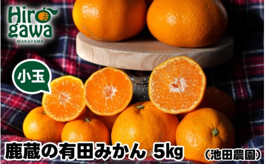 鹿蔵の 有田みかん 家庭用 わけあり 5kg+250g(痛み補償) 小さな (S以下) 先行予約 光センサー選果　※北海道・沖縄・離島への配送不可 / 温州みかん 痛み補償 果物 フルーツ くだもの 【ikd004-cs-5-nov】 1985832 - 和歌山県広川町