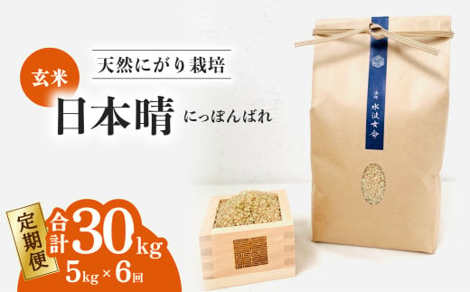 【定期便】 日本晴 玄米 5kg×6回 6ヶ月連続  天然にがり栽培 にっぽんばれ 希少 品種 お寿司 ピラフ チャーハン 1985506 - 徳島県海陽町