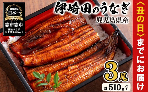 [丑の日までに配送][数量限定]鹿児島県産 伊崎田のうなぎ蒲焼 大[170g以上]× 3尾(計510g以上) 鰻 うなぎ ウナギ 蒲焼き 3尾 国産 九州産 鹿児島県産 冷凍 おつまみ 鰻重 うな丼 b3-011-us