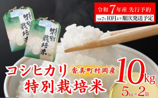 【先行予約 令和7年産米】【香美町 村岡産 コシヒカリ 特別栽培米 精米10kg】 米 ふるさと納税 おすすめ 返礼品 ランキング 令和7年10月以降順次予定 但馬牛の堆肥による土づくり 自然循環型の有機栽培 安全・安心なお米を生産 炊きあがったお米の粒立ちが格別 ふっくらもちもち食感 香りと甘みも非常に豊か 冷めても美味しい米 送料無料 兵庫県 香美町 コシヒカリ 35000円 71-02 1985485 - 兵庫県香美町