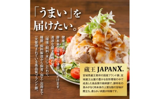 【訳あり】JAPAN X豚小間1.5kg&家庭用仙台牛タン（塩味）600g/計2.1kg【真空パック】
