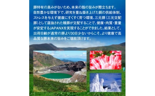 【訳あり】JAPAN X豚小間1.5kg&家庭用仙台牛タン（塩味）600g/計2.1kg【真空パック】