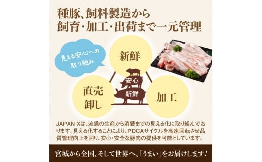 【訳あり】JAPAN X豚小間1.5kg&家庭用仙台牛タン（塩味）600g/計2.1kg【真空パック】