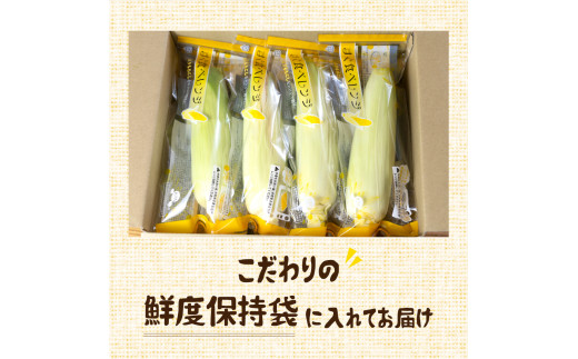 鮮度保持袋に入れてお届けします。