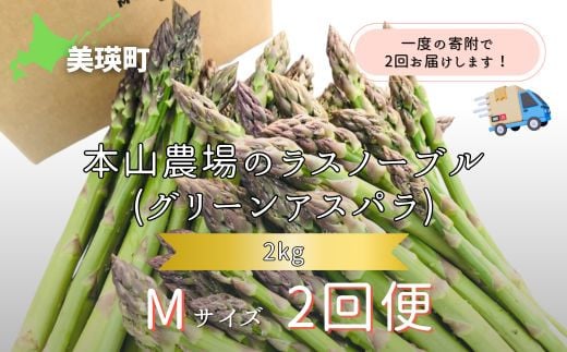 【2025年産！】北海道 美瑛町幻のアスパラ 本山農場のラスノーブル（グリーンアスパラ）Mサイズ 2kg ≪2回便≫ | グリーン アスパラガス アスパラ あすぱら あすぱらがす 採れたて 新鮮 旬 産地直送 野菜[030-94] 1987779 - 北海道美瑛町