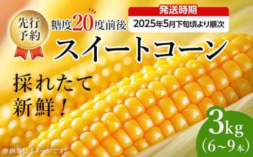 とうもろこし スイートコーン 3kg（6~9本）野菜 コーン スーパースイートコーン 採れたて 糖度20度 【2025年5月下旬頃より順次発送予定】 1986412 - 福岡県田川市