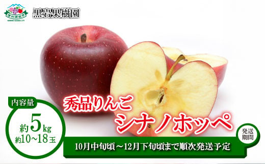 [No.5657-4224]シナノホッペ 秀品 約5kg (約10～18玉) 《黒岩果樹園》■2025年発送■※10月中旬頃～12月下旬頃まで順次発送予定 1990892 - 長野県須坂市