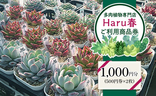 591 Haru春で使える1,000円分チケット(500円×2枚)