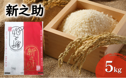 新之助 5kg