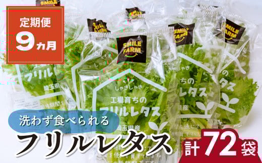 【定期便9ヵ月】 ＜洗わず食べられる・室内水耕栽培＞ フリルレタス 8袋(80～110g/袋)×9ヵ月 計72袋 | レタス 野菜 大容量 新鮮レタス オーガニック野菜 無農薬 野菜直送 フレッシュ サラダ用野菜 健康志向 こだわり フレッシュ 産地直送 食品ギフト セット 緑黄色野菜 新鮮 安心野菜 旬 低カロリー レタスボウル カロテン 定期便 スマイル農場 埼玉県 東松山市  1397617 - 埼玉県東松山市