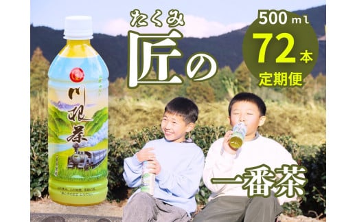 57-1 【定期便】匠厳選!高級一番茶「川根茶」ペットボトル 3ケース 422114 - 静岡県川根本町
