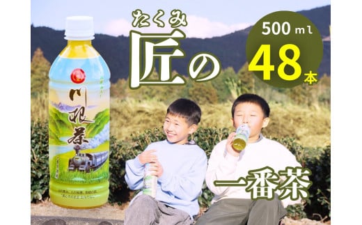 38-1 匠厳選!高級一番茶「川根茶」ペットボトル 2ケース 422112 - 静岡県川根本町