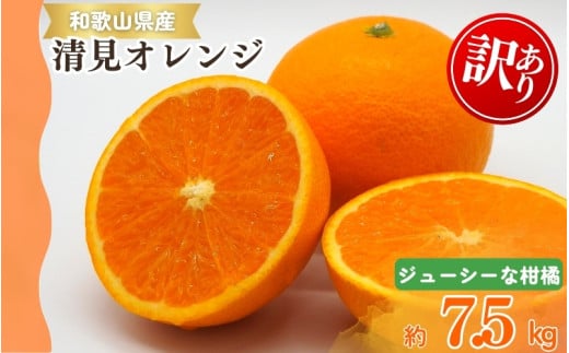[ご家庭用訳アリ]紀州有田産 清見オレンジ 7.5kg ※2026年3月下旬頃〜2026年4月中旬頃に順次発送予定(お届け日指定不可) / オレンジ みかん ミカン 蜜柑 柑橘 フルーツ 果物 くだもの 和歌山[uot730]